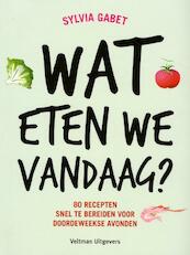 Wat eten we vandaag? - Sylvia Gabet (ISBN 9789048307272)