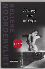 Oog van de engel - Nelleke Noordervliet (ISBN 9789047100812)