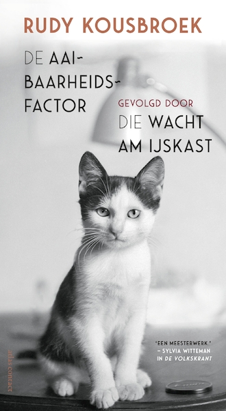 De aaibaarheidsfactor - Rudy Kousbroek (ISBN 9789045040400)