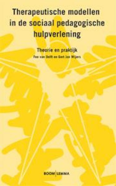 Therapeutische modellen in de sociaal pedagogische hulpverlening - Fee van Delft, Gert Jan Wijers (ISBN 9789059319288)