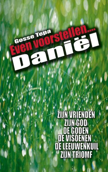 Daniel - Gosse Tepa (ISBN 9789461933393)