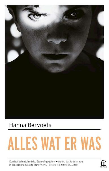 Alles wat er was - Hanna Bervoets (ISBN 9789046705728)