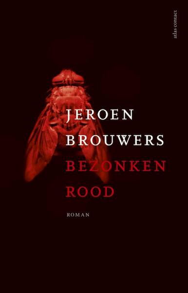 Bezonken rood - Jeroen Brouwers (ISBN 9789045015286)