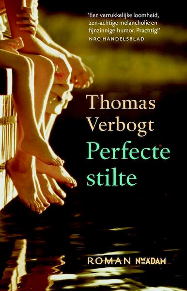 Perfecte stilte - Thomas Verbogt (ISBN 9789046813232)