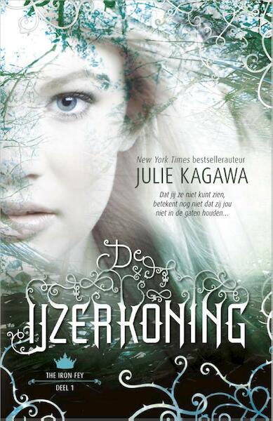 De IJzerkoning - Julie Kagawa (ISBN 9789402719406)