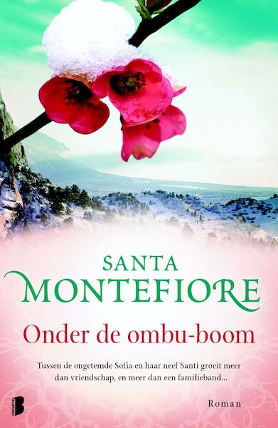 Onder de ombu-boom - Santa Montefiore (ISBN 9789460238659)