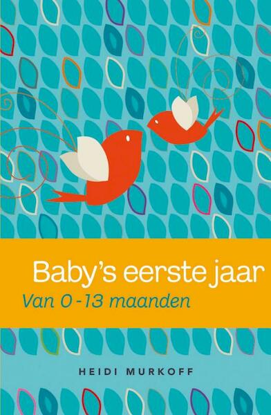 Baby's eerste jaar - Heidi Murkoff, Sharon Mazel, Arlene Eisenberg, Sandee Hathaway (ISBN 9789000301232)