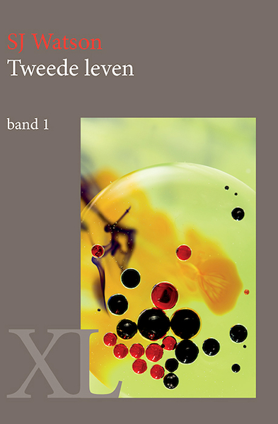 Tweede leven - S.J. Watson (ISBN 9789046311530)