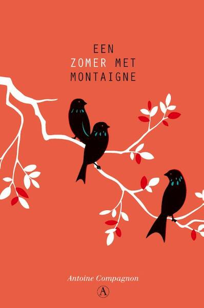 Een zomer met Montaigne - Antoine Compagnon (ISBN 9789025303716)