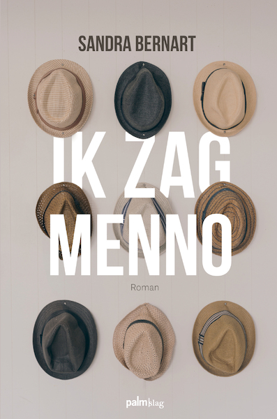 Ik zag Menno - Sandra Bernart (ISBN 9789491773372)