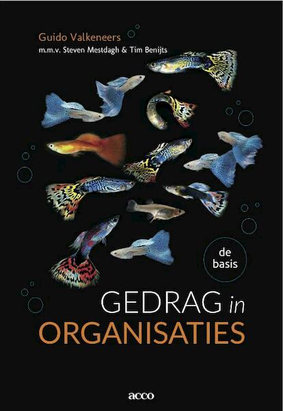 Gedrag in organisaties - Guido Valkeneers (ISBN 9789033485787)