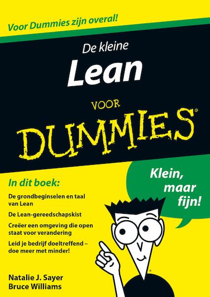 De kleine Lean voor Dummies - Natalie J. Sayer, Bruce Williams (ISBN 9789045352206)