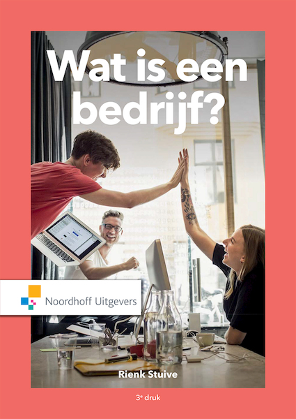 Wat is een bedrijf?(e-book) - Rienk Stuive (ISBN 9789001898922)