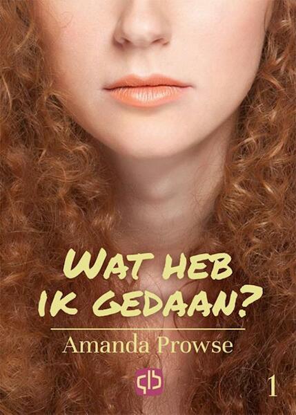 Wat heb ik gedaan? - Amanda Prowse (ISBN 9789036429856)