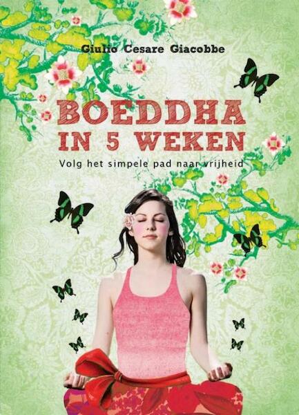 Boeddha in 5 weken - Giulio Cesare Giacobbe (ISBN 9789049107321)