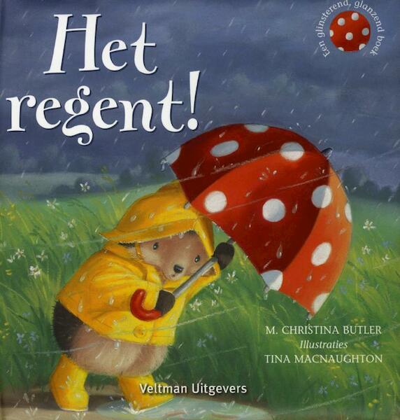 Het regent ! - M.Chistina Butler, M. Christina Butler (ISBN 9789048304745)