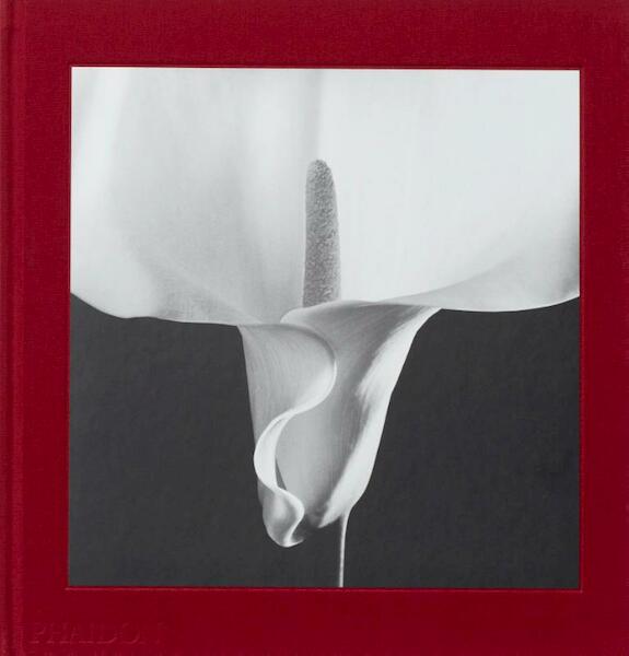 Mapplethorpe Flora - (ISBN 9780714871318)