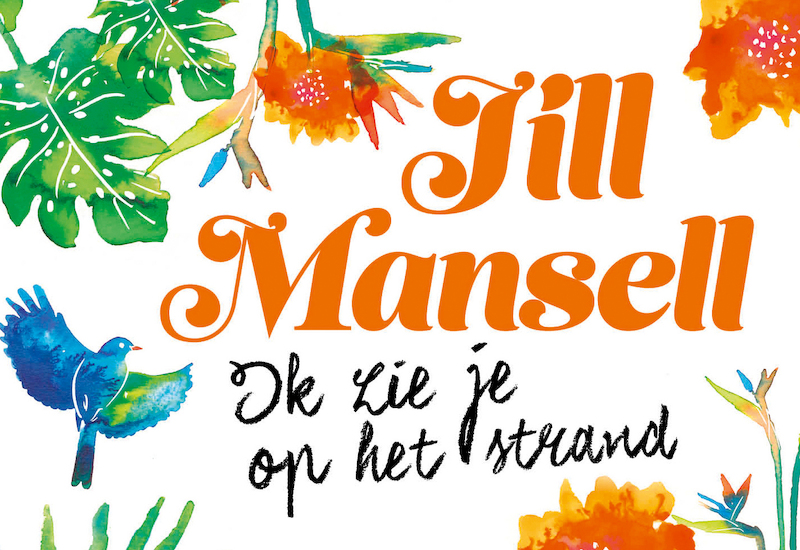 Ik zie je op het strand DL - Jill Mansell (ISBN 9789049807467)